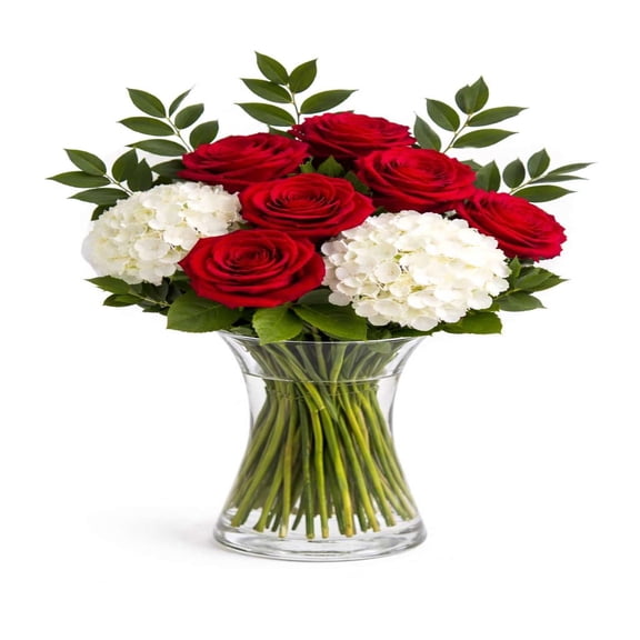 KaBloom : Bouquet of 6 Red Roses and 2 White Hydrangeas with Vase.  Next-Day Delivery, Gift for Every Occasion.