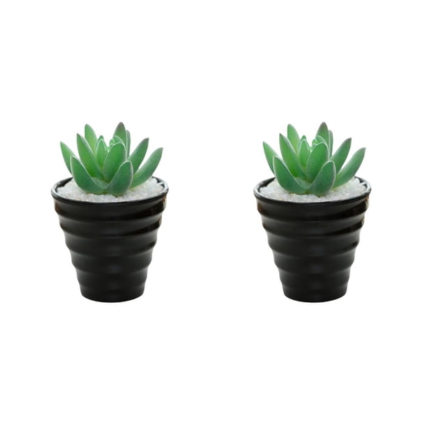 Bearachild Bonsái Artificial para exteriores, paisaje interior, simulación decorativa, suculentas, Mini plantas de PVC, arreglo para el hogar y Tipo 1 2piezas