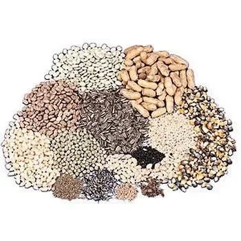 Pea, Alaska, Viable Seed, 1 Pound