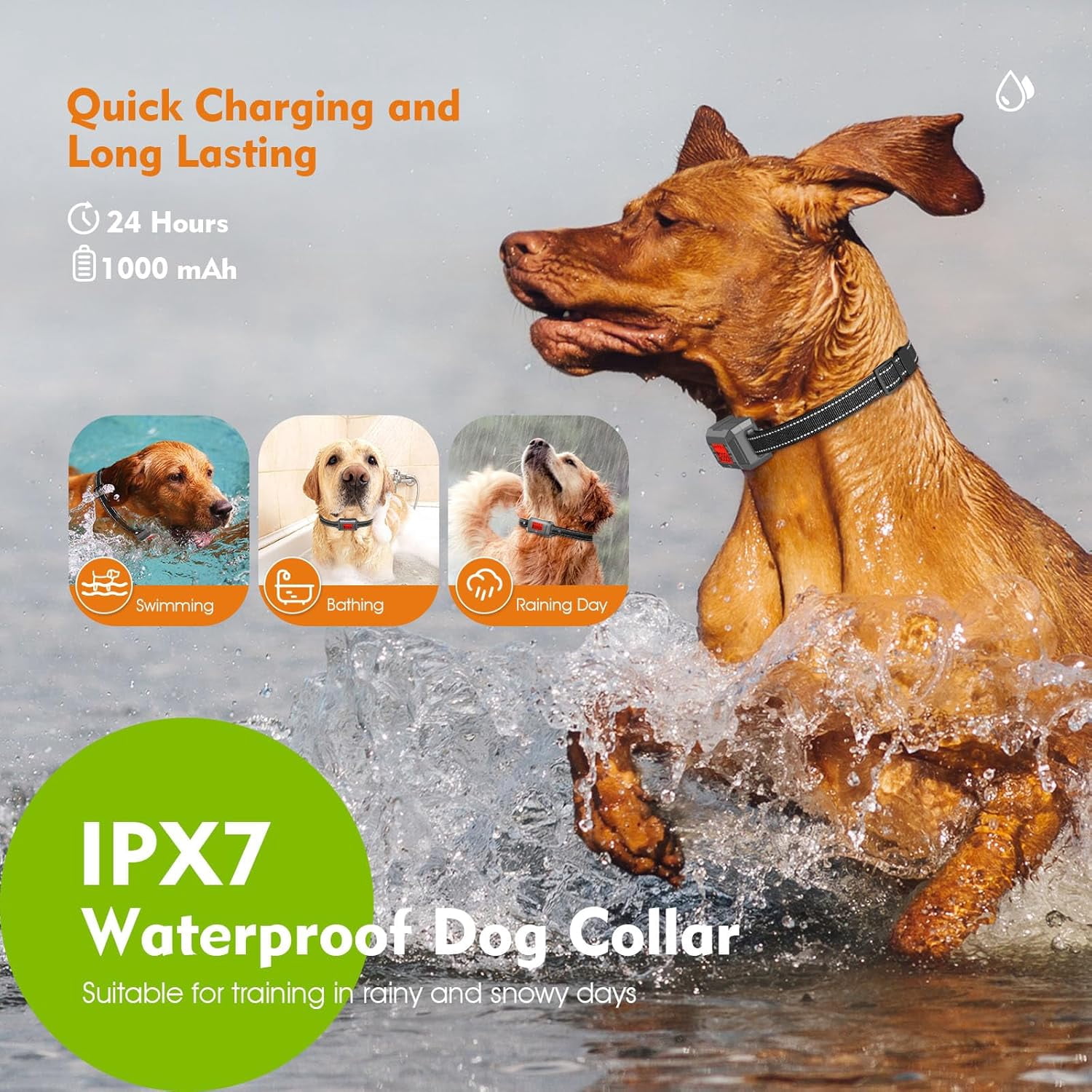 GPS Wireless Dog Fence System – CICPAP 33–999 Yards Rechargeable Electric Dog Boundary Collar, Smart Perimeter Containment System for Medium & Large Dogs, Waterproof for Outdoor Use