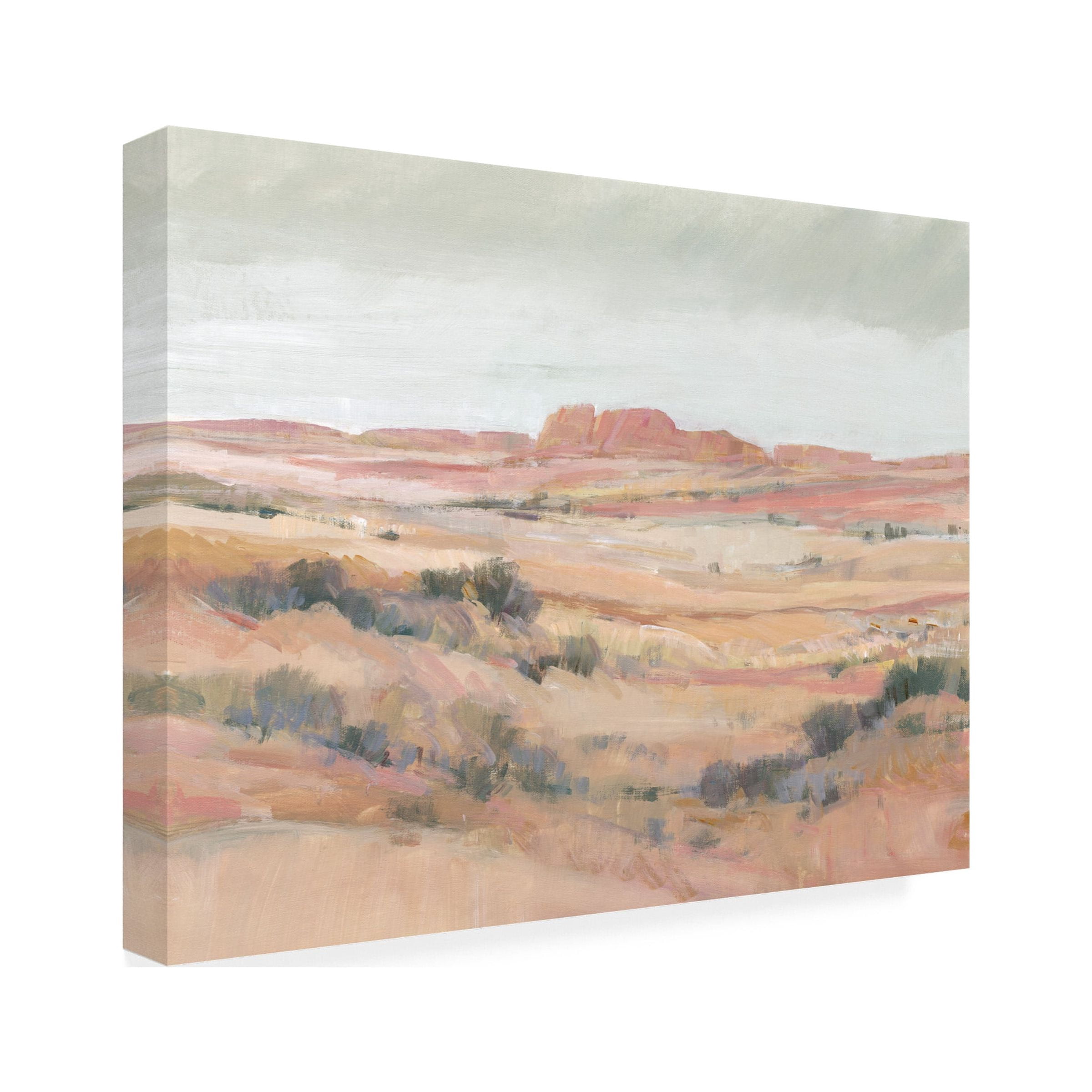 Tim O'Toole 'Southwest Landscape II' Canvas Art