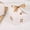 A, variant on 10 Decorative House-Shaped Gift Boxes for Weddings, Birthday Party Favors, Christmas Gifts & More - Charming Versatile Packaging for Snacks, Treats, and Small Presents