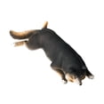 thumbnail image 4 of Escultura de perro realista CUTICAT figura de escultura juguete en miniatura Negro, 4 of 8