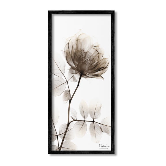 Stupell Industries Contemporary X-Ray Flower Botanical & Floral Photography Black Framed Art Print Wall Art, 10 x 24