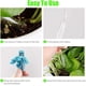 thumbnail image 2 of Globos de riego para plantas con forma de gato, 2 of 5