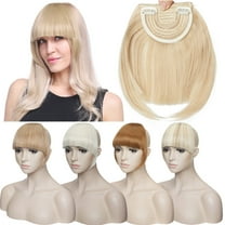 SEGO Fringe Bangs Synthetic Hair Extensions Clip in Hair Bangs Short Straight Hairpiece Front Neat Bang Two Side