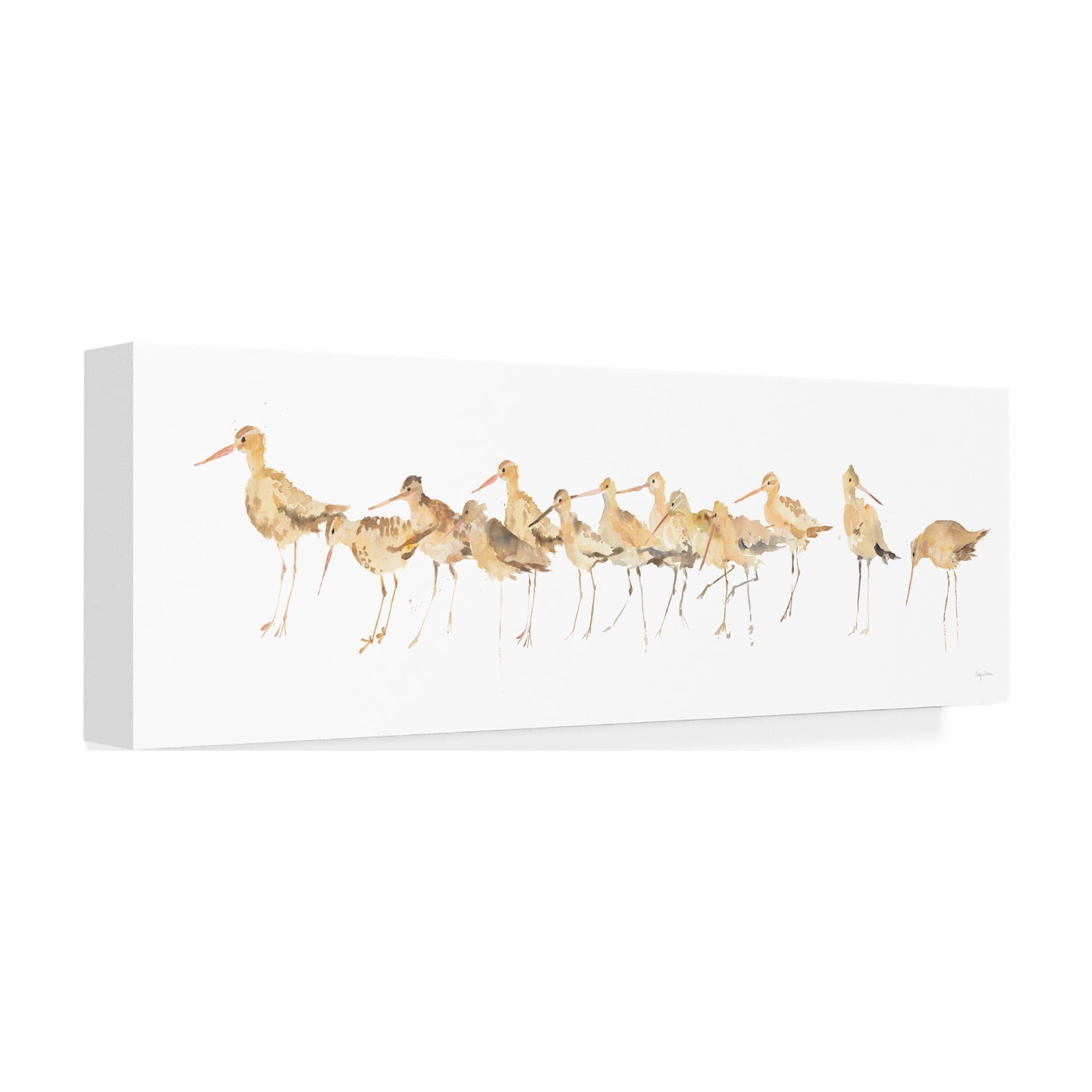 Trademark Fine Art 'Watercolor Sandpipers Panel' Canvas Art by Avery Tillmon