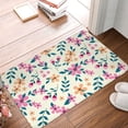 thumbnail image 5 of Daiia Design Name Door Mat Outdoor Indoor Hello Doormat, 16x24 Inch,Entry Rug Non-Slip Washable Indoor Door Mat, Small Oriental Accent Throw Rug For Bedroom Kitchen Entryway Bathroom, 5 of 9