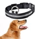 thumbnail image 2 of Billuyoard Collar de perro Led con carga USB, Collar antipérdida/para evitar accidentes de coche para perros, cachorros, collares para perros, Suministros para perros 7 colores METRO, 2 of 3