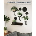 thumbnail image 7 of KEMEINILI Wall Plant Holder 3-Pack Wall Planters for Indoor Plants Plant Hanger Indoor Window Plant Shelves Hanging Plant Holder Window Plant Hanger Plant Deco（Black）, 7 of 7