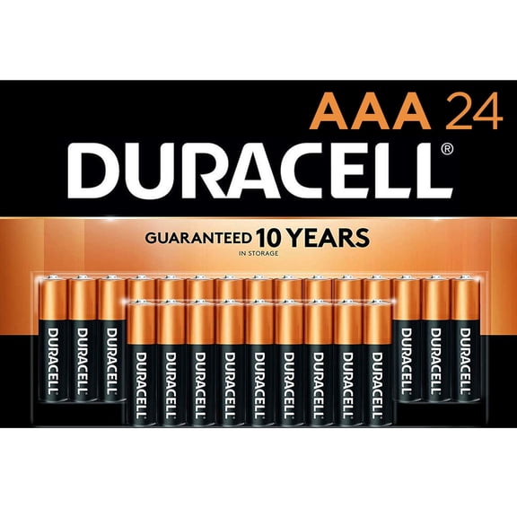 Duracell Coppertop AAA Alkaline Batteries, 16 Count