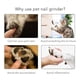 thumbnail image 5 of Molinillo profesion de uñas para perros, recortador de uñas para , herramienta para patas de mascotas de bajo ruido, plástico ABS Yuyangstore Amoladora de uñas eléctrica, 5 of 8
