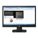 HP v223 - LED monitor - 21.5
