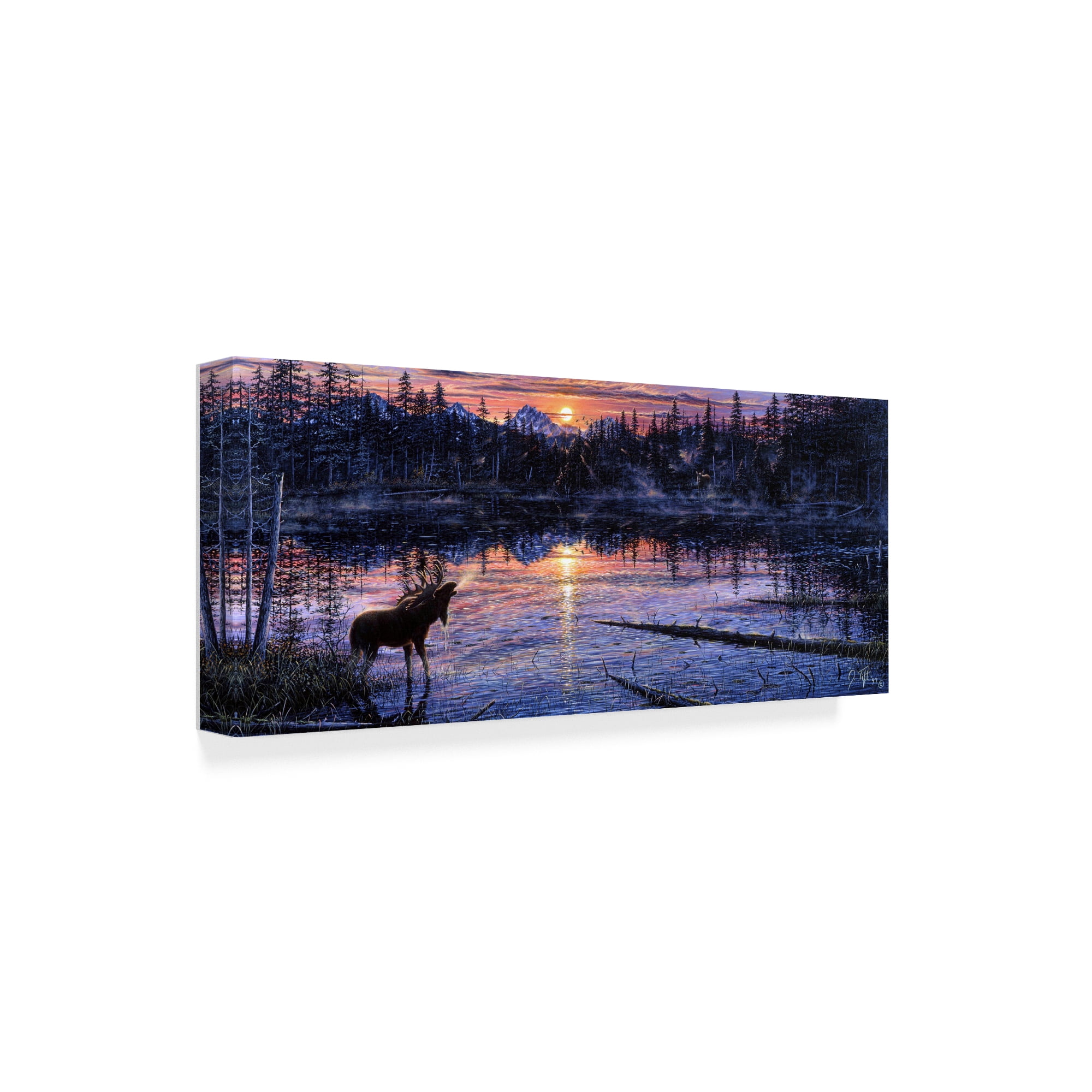 Trademark Fine Art 'Moose Lake' Canvas Art by Jeff Tift