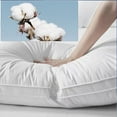 thumbnail image 1 of 18x18 Inches Pillow Core-100% Cotton Pillowcase-45.72cm Square Pillowcase-decorative Sofa Cushion Pillow, 1 of 6