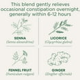 thumbnail image 3 of Traditional Medicinals, Organic Smooth Move, Tea Bags, 16 Ct, 3 of 9