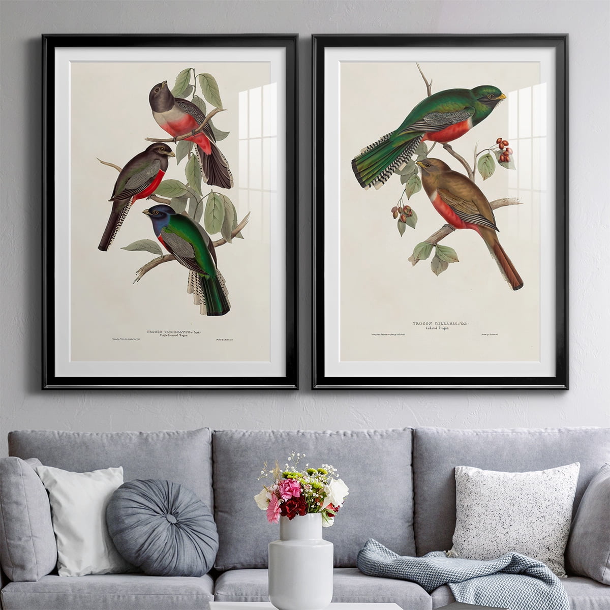 Wexford Home Elegant Trogons V Premium Framed Print, 22.5" x 30.5" - Ready to Hang, Black (Set of 2)