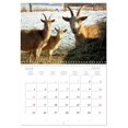 thumbnail image 5 of Who is that? With goats through the year (Monthly Wall Calendar 2026 16.5 x 23.4 (open)), CALVENDO 14 Month Calendar, 5 of 9