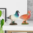 thumbnail image 3 of D-GROEE High Simulation Printed Pigeon Figurine Love Peace Pigeon Model Animal Statue Photography Props, 3 of 8