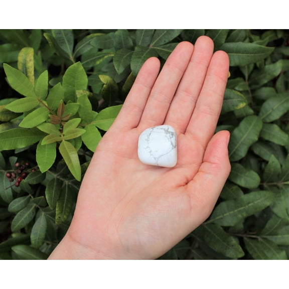 1 Large White Howlite Tumbled Stone (Crystal Healing Reiki Gemstone)