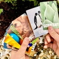 thumbnail image 4 of Juego de cartas Scavenger Hunt Hapinest Find and Seek para niños mayores de 3 años, 4 of 6