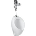 thumbnail image 1 of Mansfield Plumbing Brevity Urinal, 1 of 1