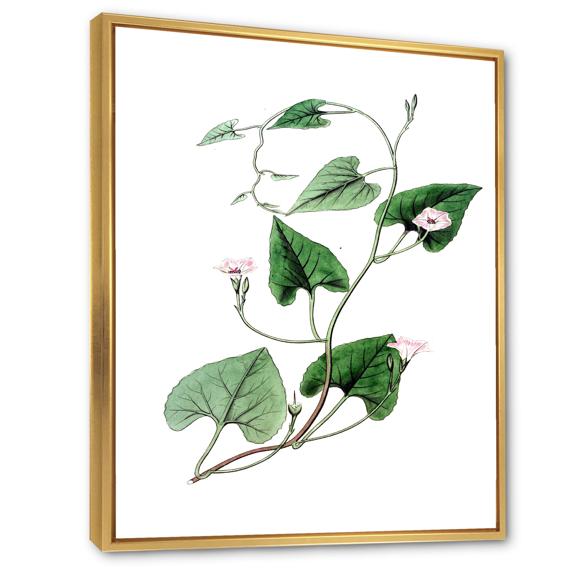 Designart 'Ancient Green Leaves Plants IX' Traditional Framed Canvas Wall Art Print