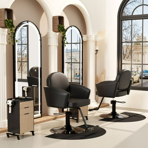 Baasha Professional Salon Chair, Hair Chair with Upgraded Comfortable Cushion, 360°Swivel Styling Chairs for Hair Stylist, Professional Stylist Chairs for Salon (222, All Black)