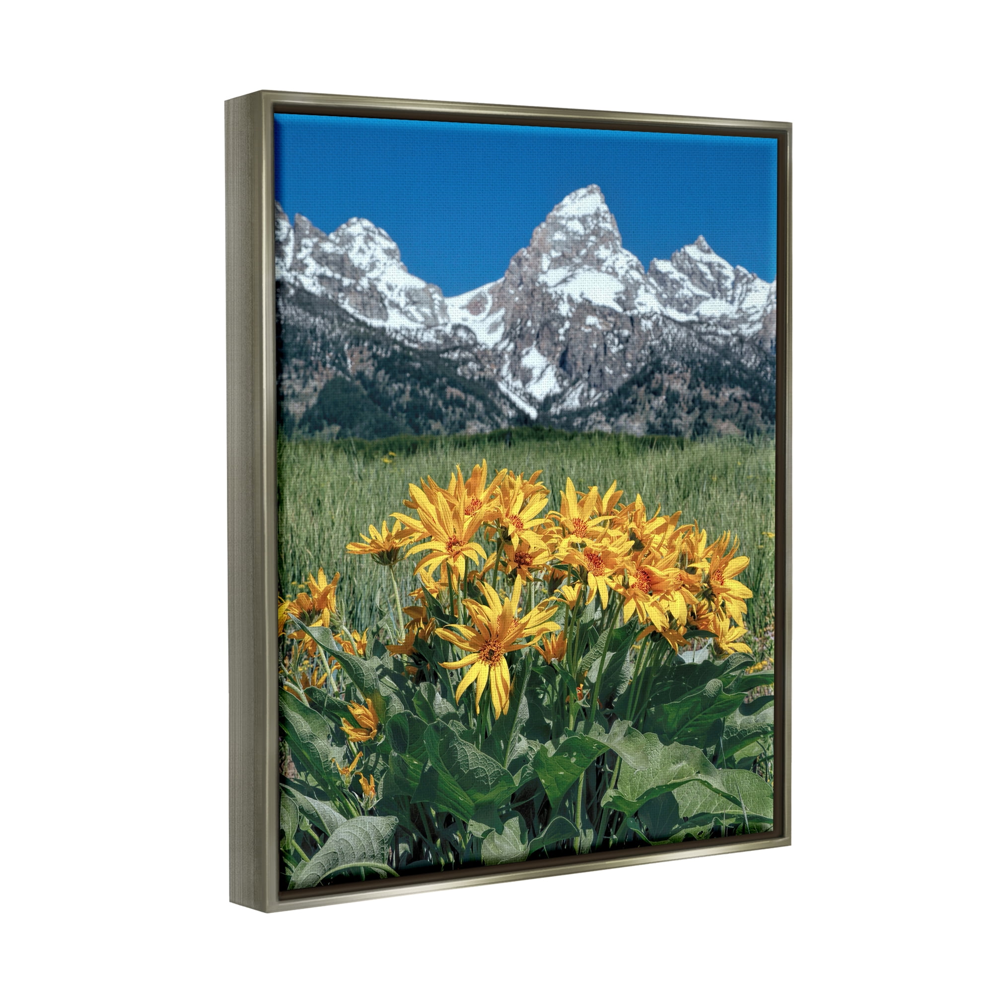 Stupell Industries Daisies & Mountain Peaks Landscape Photography Gray Floater Framed Canvas Art Print Wall Art, 25 x 31