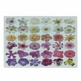thumbnail image 1 of Flower Cutting Board, Pattern of Various Vase Flowers Petunia Botanic Wild Orchid Floral Nature Art, Decorative Tempered Glass Cutting and Serving Board, Small Size, White Lilac Pink, by Ambesonne, 1 of 1
