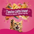 thumbnail image 5 of Purina Friskies Gravy Swirlers Dry Cat Food Flavors of Chicken, Salmon and Gravy, 16 lb Bag, 5 of 13