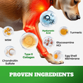 thumbnail image 3 of Dog Joint Supplement Chews with Glucosamine & MSM & Omega 3–Joint Support for Senior & Large Breed Dogs, Alternative for Longevity & Healthy Aging, Mobility Treatment & Flexibility with CoQ10-120 Ct, 3 of 10