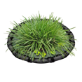 thumbnail image 1 of Floating Plant Corral Floating Island Plant Protector Pond Netting Round Fish Tank Fence for Duckweed Water Outdoor 80cm, 1 of 7