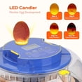 thumbnail image 6 of 18 Egg Incubator, for Hatching Eggs with Automatic Egg Turner, Temperature & Humidity Control, Built-in Egg Candler, Ventilation, Incubation Days Display, for Chicken, Duck, Goose and Quail Eggs, 6 of 9