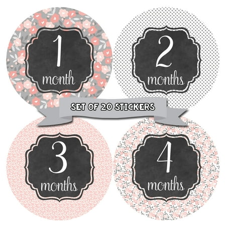 Baby Monthly Milestone Stickers - First Year Set of Baby Girl Month Stickers for Photo Keepsakes - Shower Gift - Set of 20 - Floral Shabby