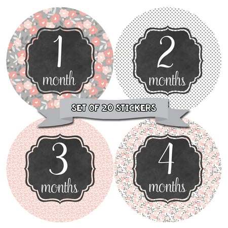 Girl Sticker Set (Baby Monthly Milestone Stickers - First Year Set of Baby Girl Month Stickers for Photo Keepsakes - Shower Gift - Set of 20 - Floral Shabby)
