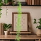 thumbnail image 1 of Simulation Of Decorative Wicker Hanging Wall Hanging Wedding Indoor Green 5 Fork Rattan., 1 of 6