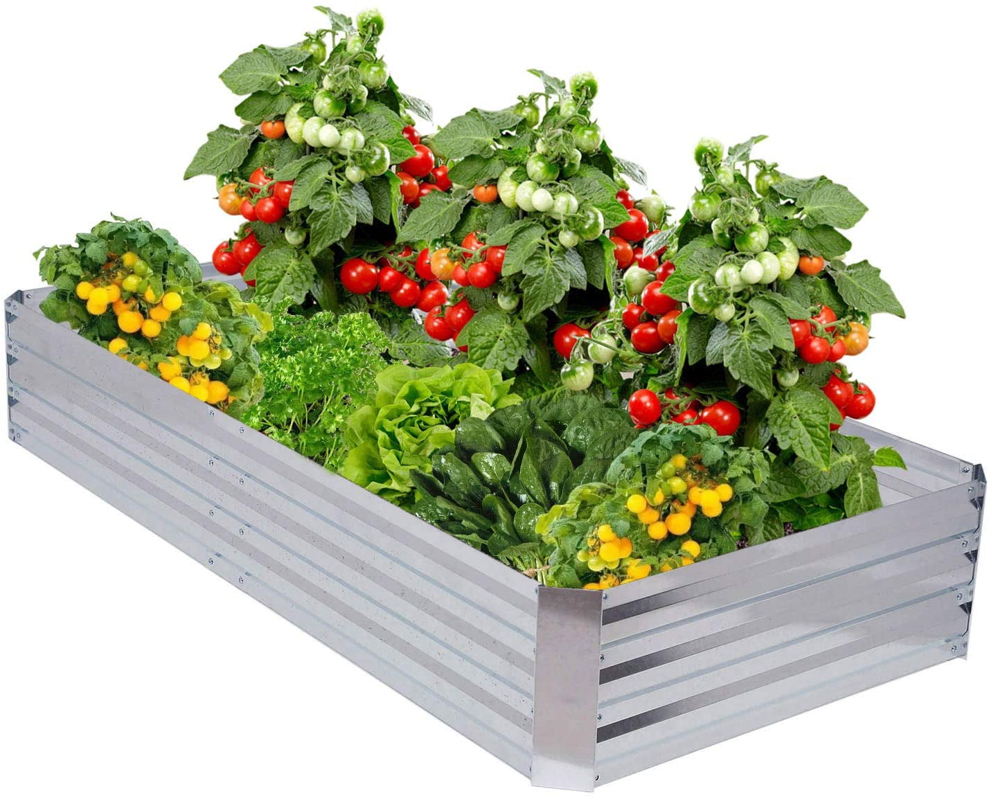 Fameil Garden Beds for Vegetables,Galvanized Steel Planter Box Lawn