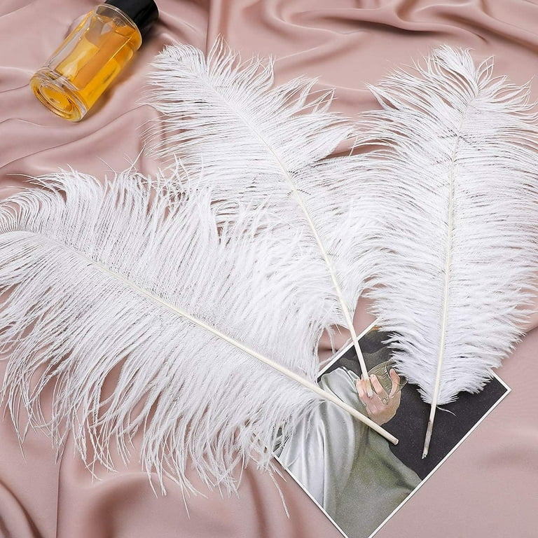  Retrowavy 30 Pcs 14-16 Inches Large Natural Ostrich Feathers  Bulk for Centerpieces for Wedding Party Centerpieces Home Decoration Flower  Arrangement (White) : Arts, Crafts & Sewing