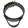 thumbnail image 4 of Viper Biothane Working Dog Collar with Integrated Handle, 4 of 7