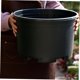 thumbnail image 5 of Luxshiny Plástico Negro Para Suculentas Ideal Para Jardinería Exterior, 5 of 8