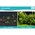 thumbnail image 4 of Canton Aquatics Beginner Live Aquarium Plants Bundle, Aquarium Plant Decoration, with insulated mailer, Green, 10 Count, 4 of 10