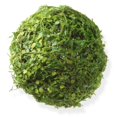 thumbnail image 1 of Boule de 8 Po avec Mousse et Mini-Feuilles, 1 of 1