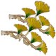 thumbnail image 5 of CRILSTYLEO 2Ud Clips De Garra Para Estilo Hoja De Ginkgo Para Sujetar Y, 5 of 7