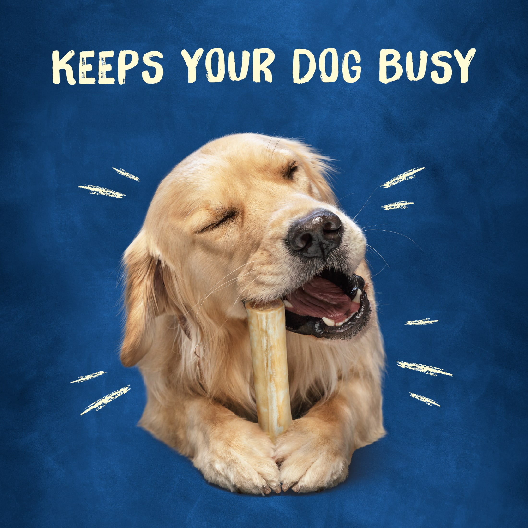 Purina Busy Rollhide Large Breed Dog Bones Long Lasting Chew Rawhide 6 oz. Pouch Walmart