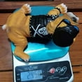 thumbnail image 5 of Funny Tough Guy Dog Peeing Statue, Hand Painted Garden Decoration With Biker Jacket Arm Band Sunglasses And Hat, For Outdoor Indoor Courtyard Patio Balcony, 5 of 6