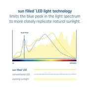 GE Sun Filled LED Light Bulbs, 60 Watt, Daylight, A21 Bulbs, Medium Base