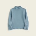 thumbnail image 2 of Ecqkame Kids Fall Turtle Neck Cotton Sweatshirt Long Sleeve Pullover Loose Warm Breathable Shirt Boys Girls Basic Tee B-Sky Blue 2-4 Years, 2 of 3
