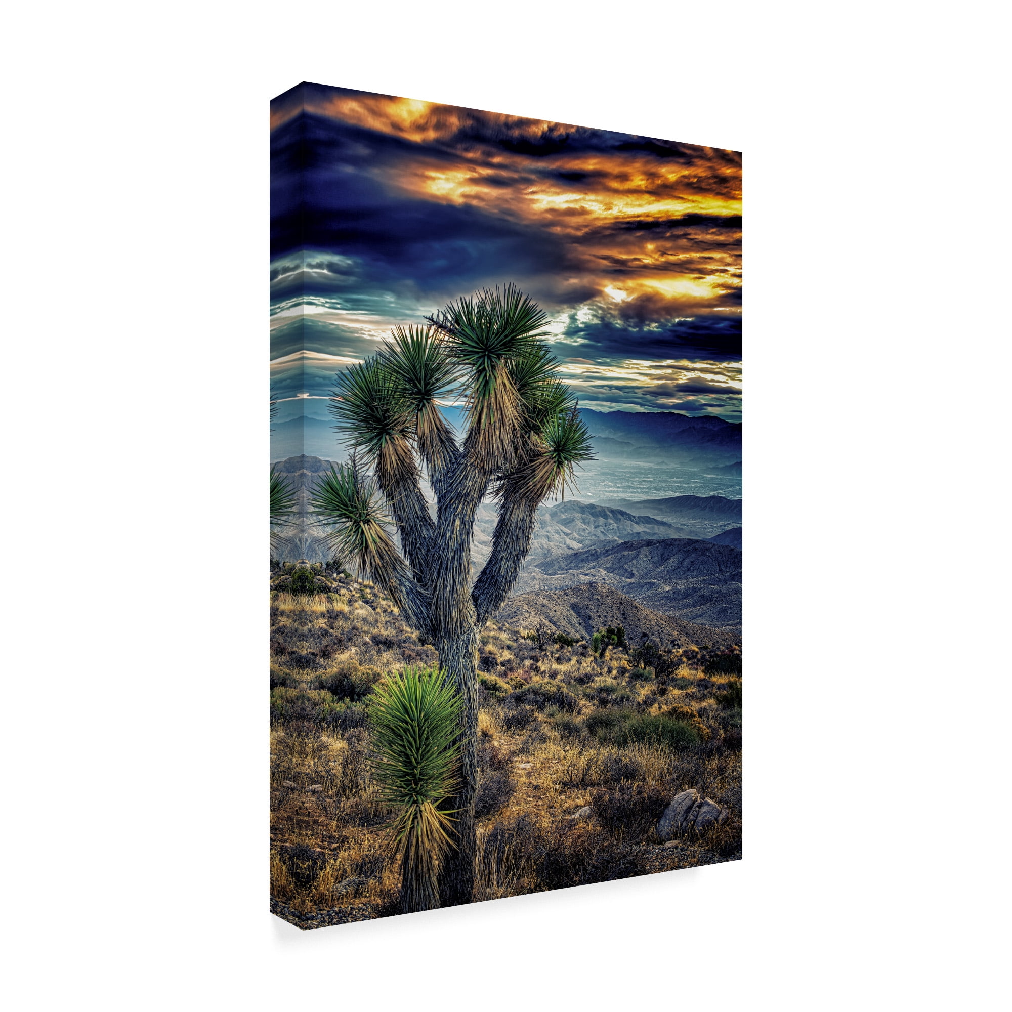 Trademark Fine Art 'Joshua Tree Sunset I' Canvas Art by Janice Sullivan