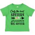 thumbnail image 3 of Inktastic Only the Best Sisters Get Promoted to Big Sister Boys or Girls Toddler T-Shirt, 3 of 5